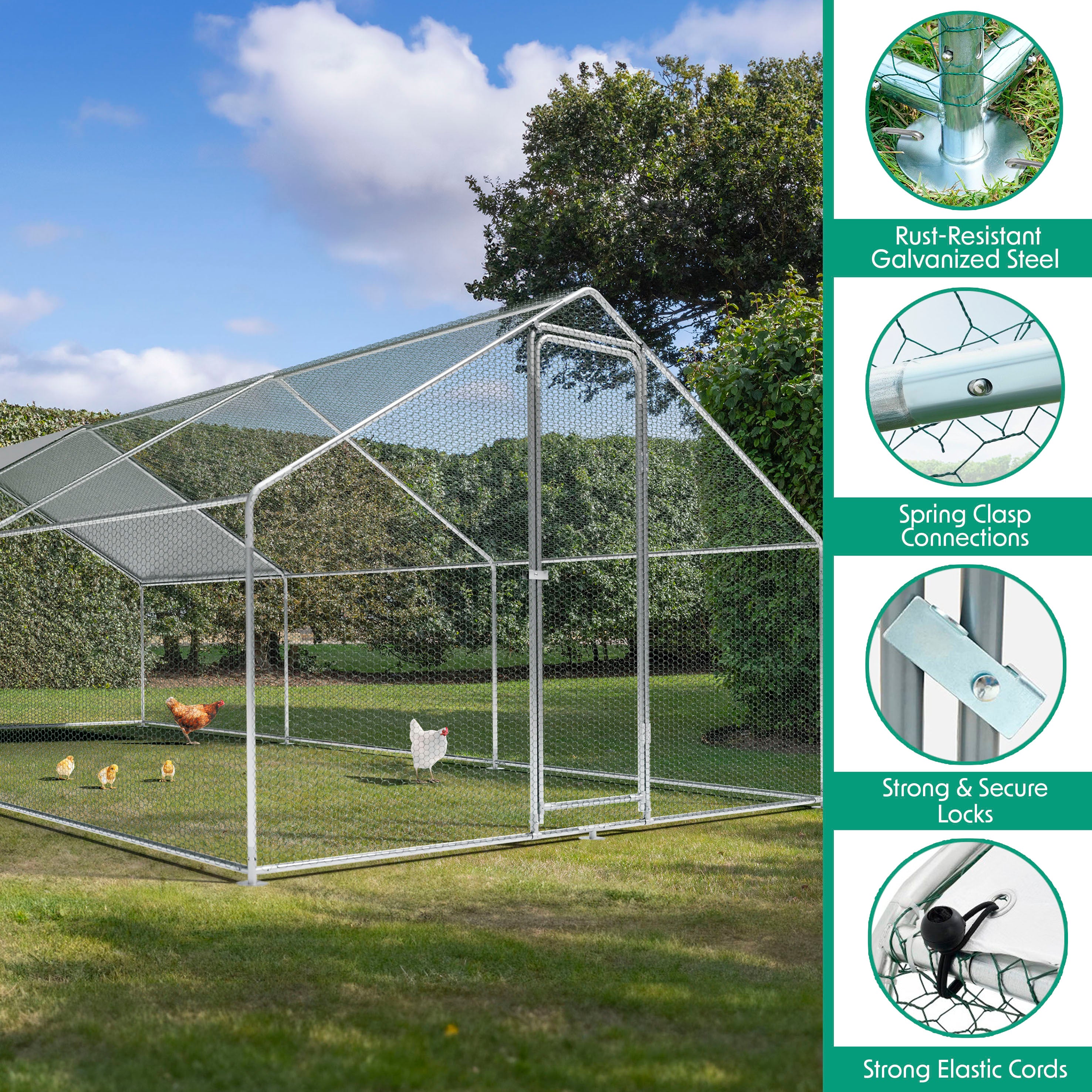Dellonda DG280 Chicken Run Action shot - features - infographics - 2nd perspective