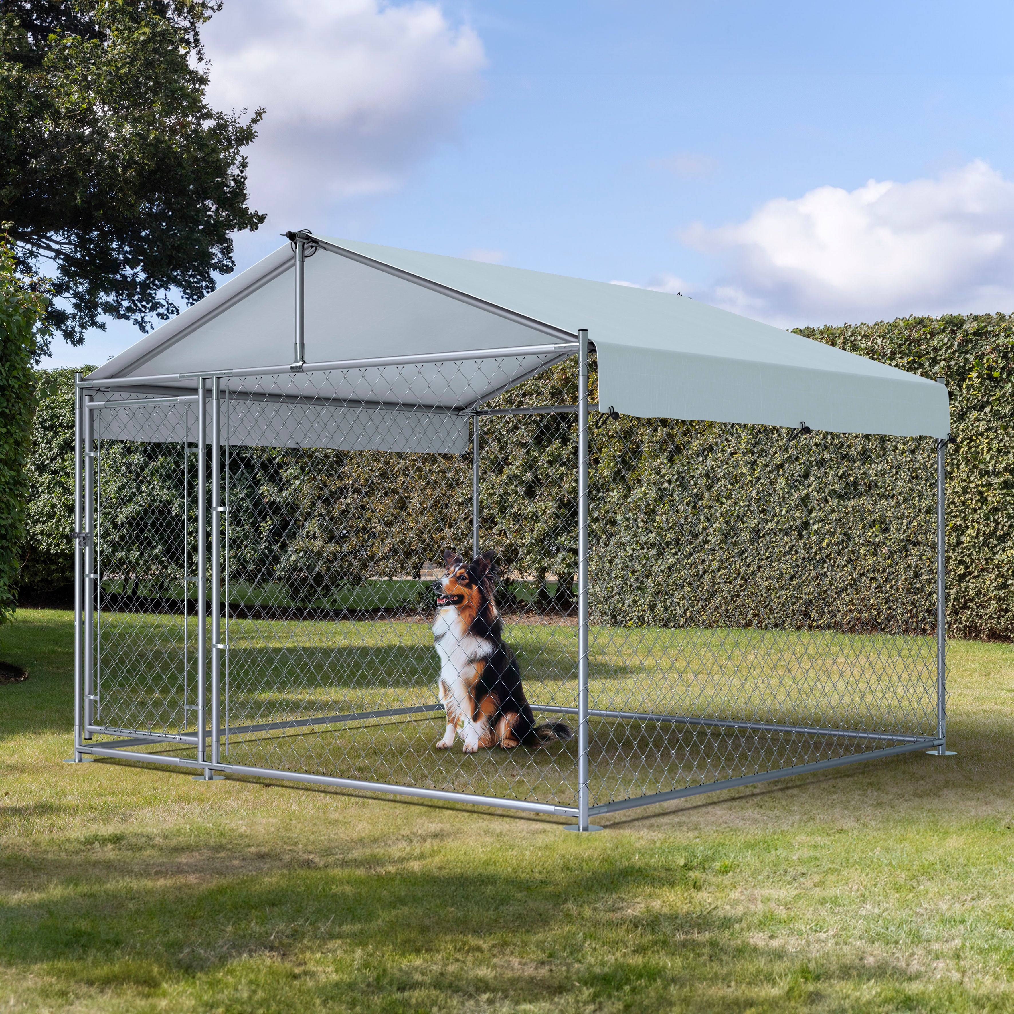 Dellonda DG281 Dog Kennel Action shot - lifestyle