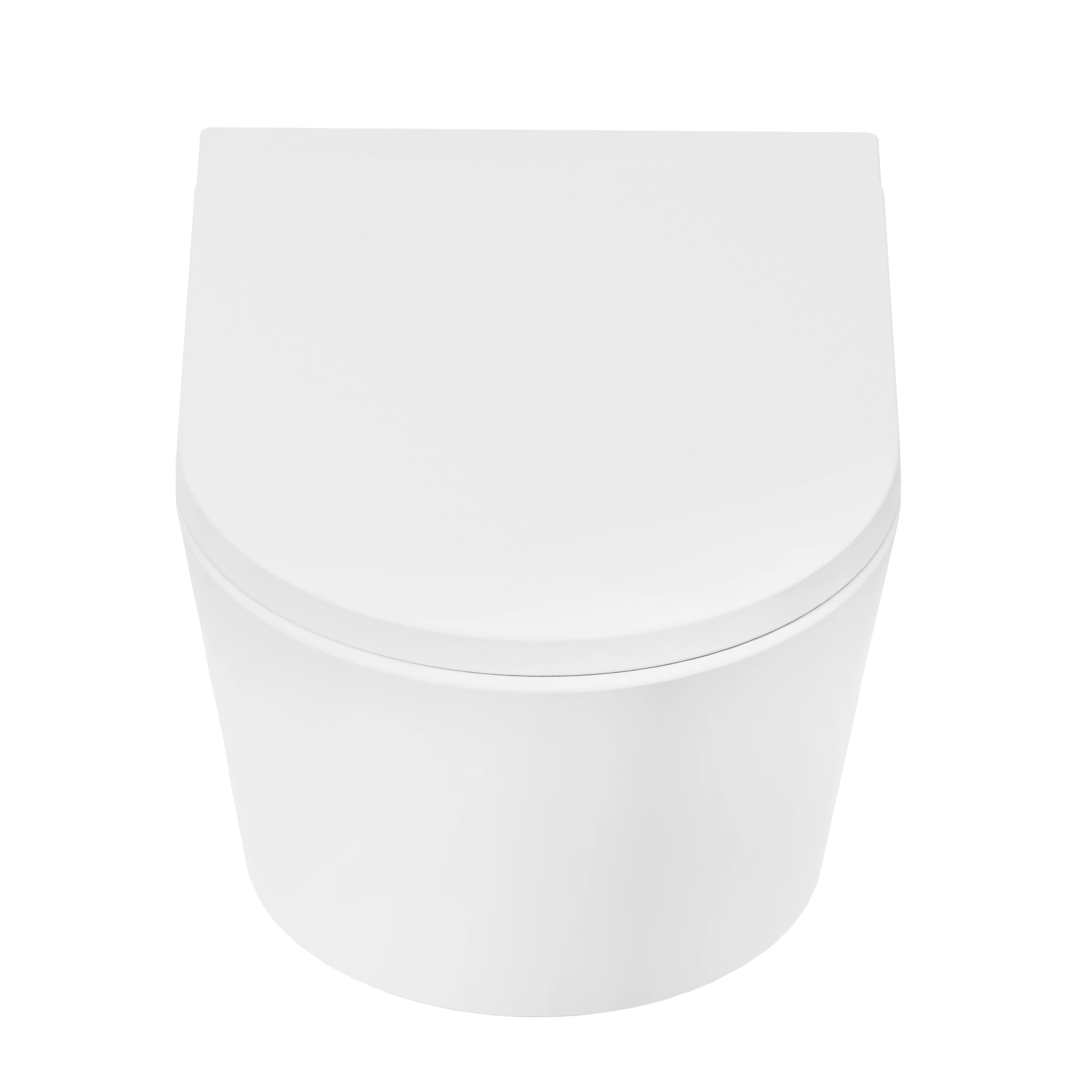 Baridi Wall Hung Toilet with Soft Close Seat & Rimless Flush, White - DH335
