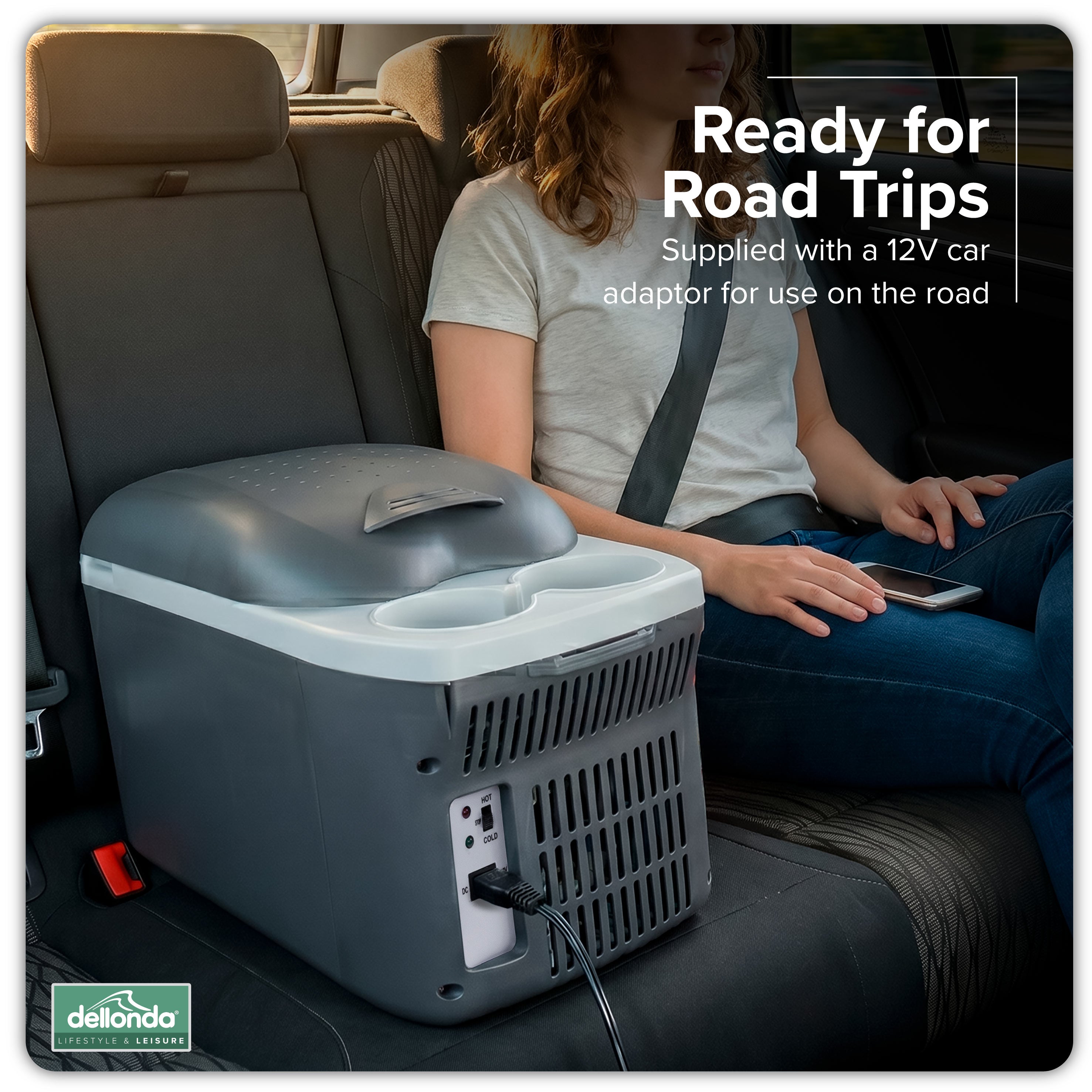8L Portable Cool Box 12V - DL166