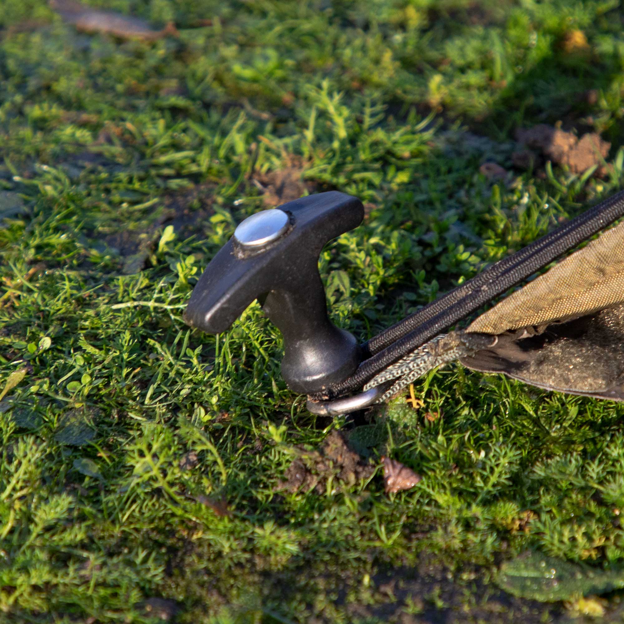 Dellonda DL75 Bivouac Action shot - peg