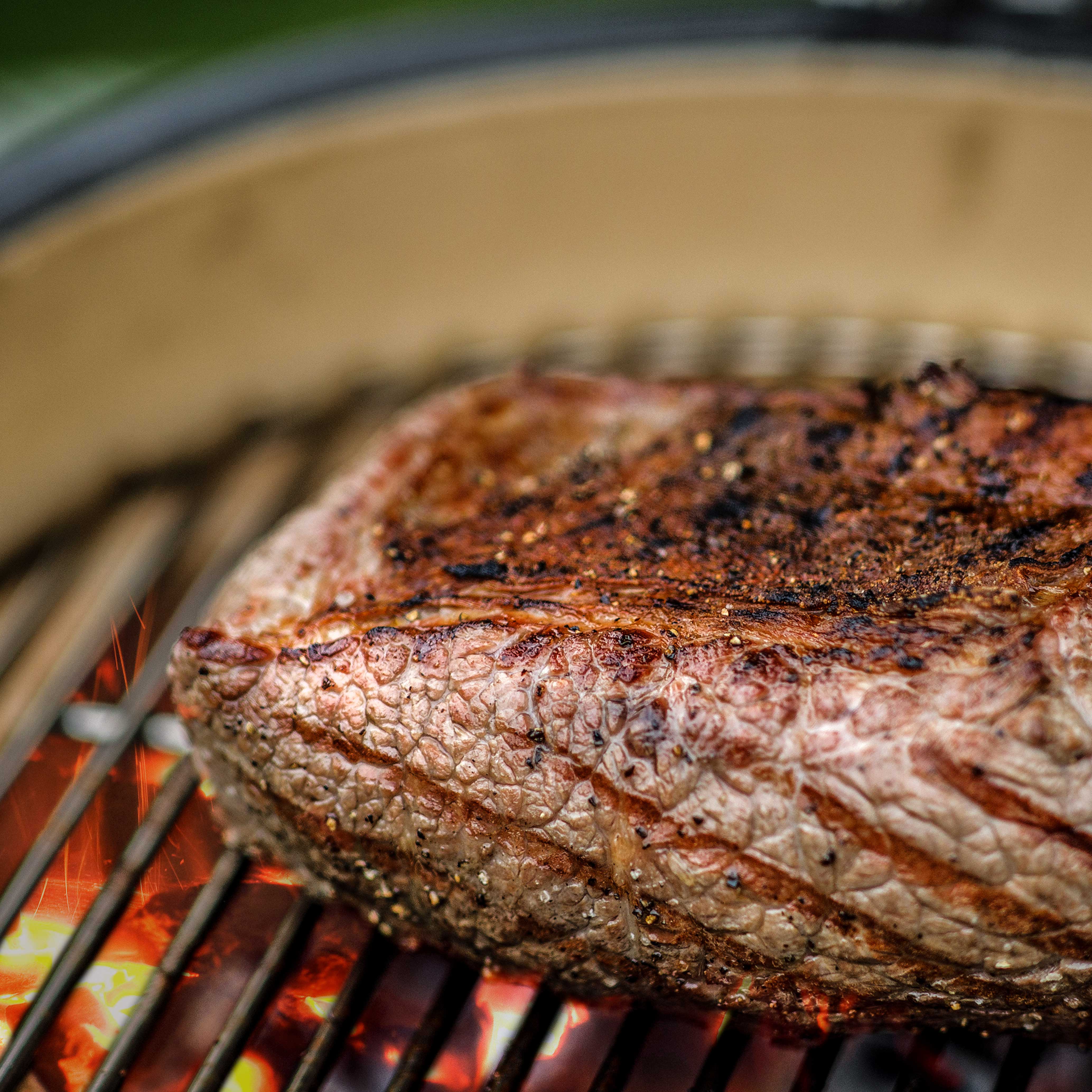 Dellonda DG158 Kamado Grills Action shot - meat - cooking - close