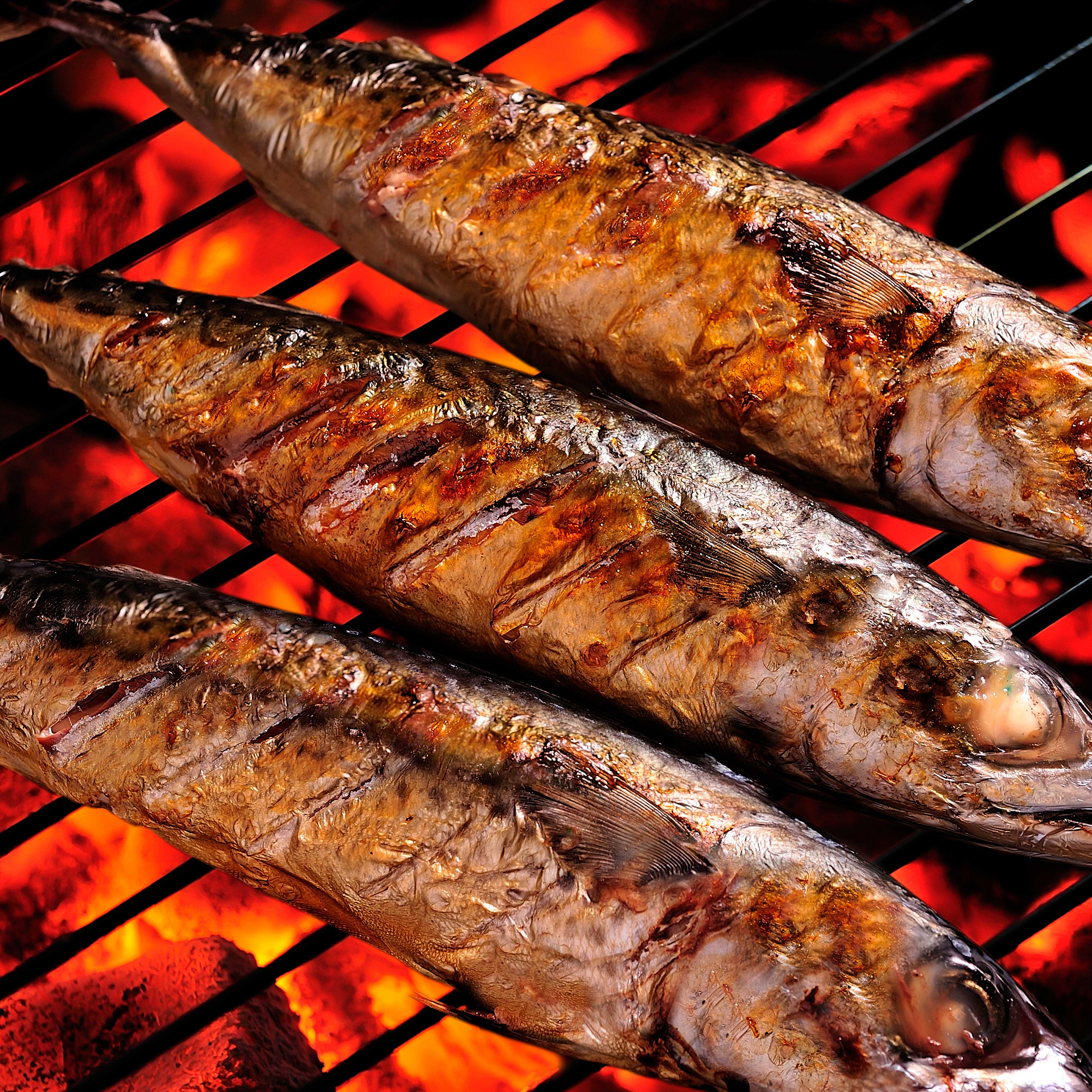 Dellonda DG159 Kamado Grills Action shot - cooking - fish