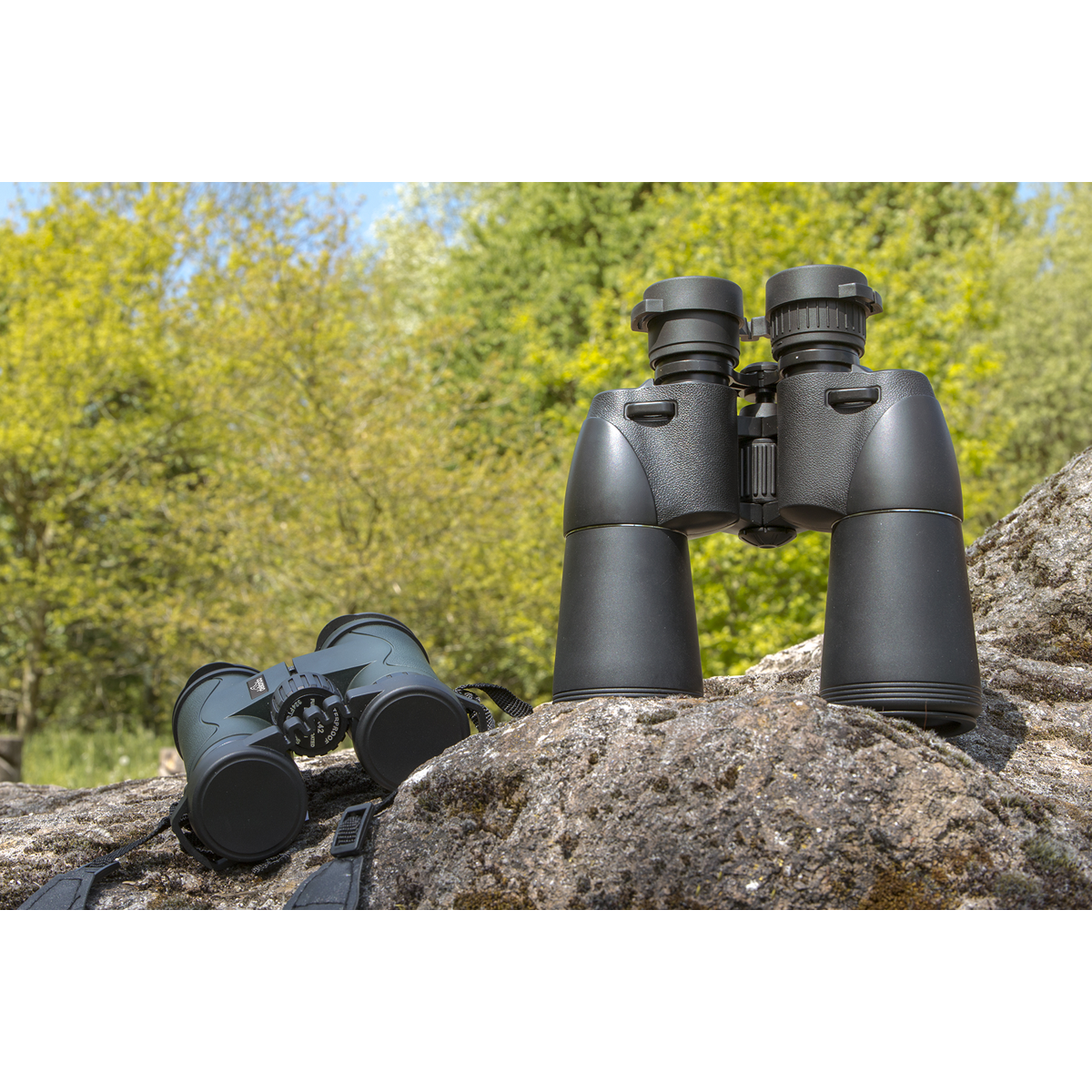 Dellonda DL3 Binoculars Dl2 - action shot - in situ