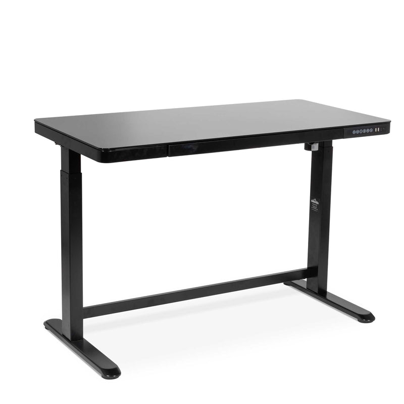 Single Motor Ultra-Quiet Electric Desk with Control Panel, USB Port ...