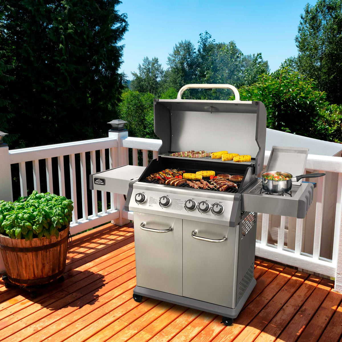 Stainless steel hot sale gas bbq